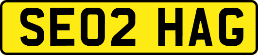 SE02HAG