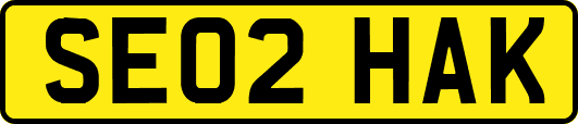SE02HAK