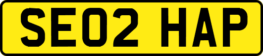 SE02HAP