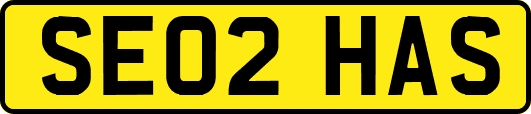 SE02HAS