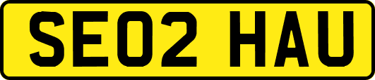 SE02HAU