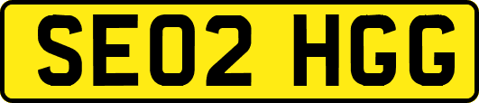 SE02HGG