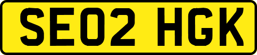 SE02HGK