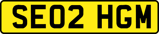 SE02HGM