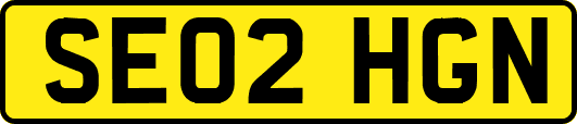 SE02HGN