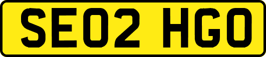 SE02HGO
