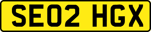 SE02HGX