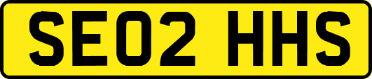 SE02HHS