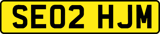 SE02HJM