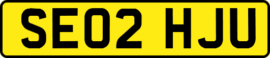 SE02HJU