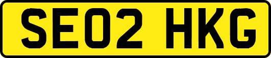 SE02HKG