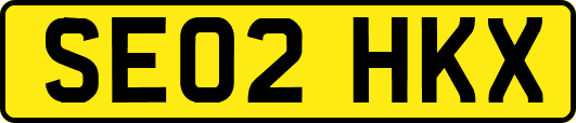 SE02HKX