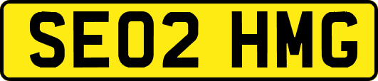 SE02HMG