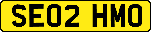 SE02HMO