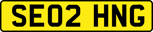 SE02HNG