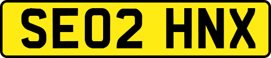 SE02HNX