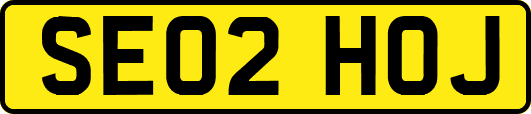 SE02HOJ