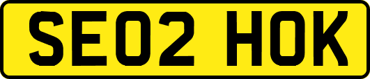 SE02HOK