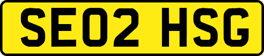 SE02HSG