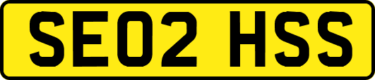 SE02HSS