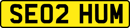 SE02HUM
