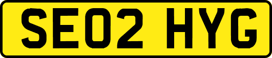 SE02HYG