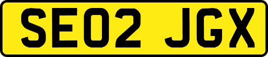 SE02JGX