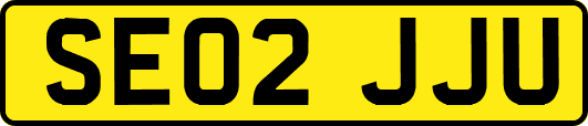 SE02JJU