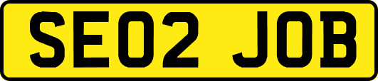 SE02JOB
