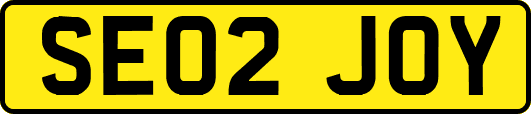 SE02JOY