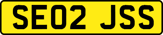 SE02JSS