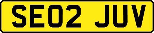 SE02JUV