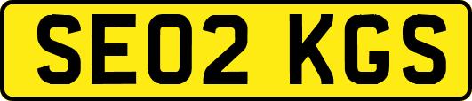 SE02KGS