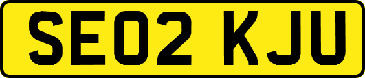 SE02KJU