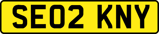 SE02KNY