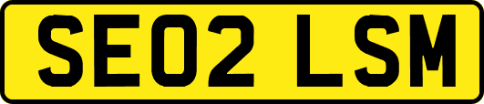 SE02LSM