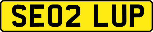 SE02LUP