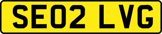 SE02LVG