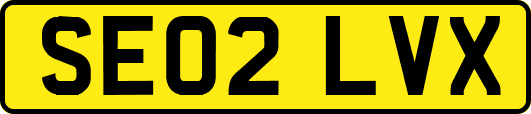 SE02LVX