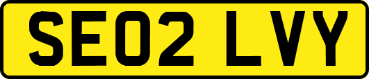 SE02LVY