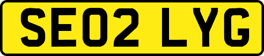SE02LYG