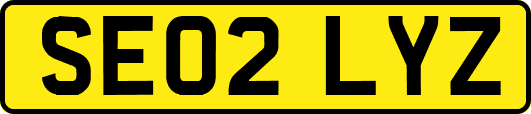 SE02LYZ