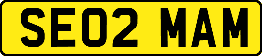 SE02MAM
