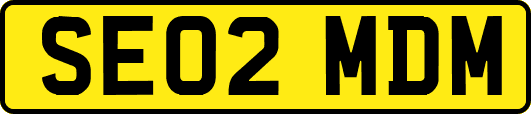 SE02MDM