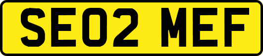 SE02MEF