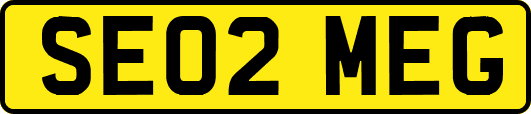 SE02MEG
