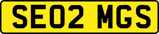 SE02MGS