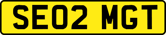 SE02MGT