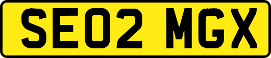 SE02MGX