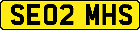 SE02MHS